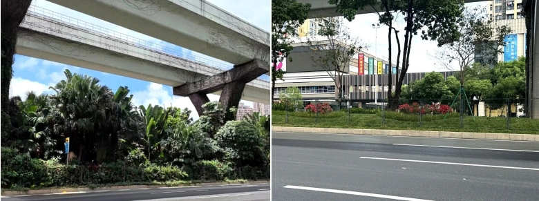 (й)޹˾